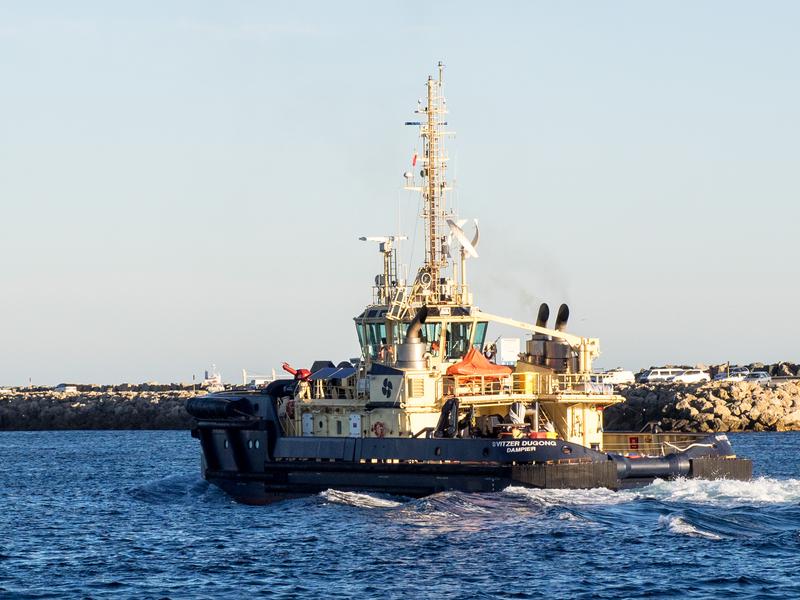 SVITZER DUGONG