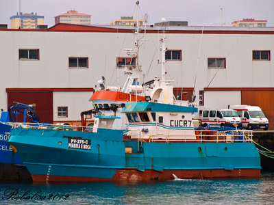 PEREIRA E MOCA
