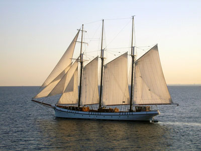 EMPIRE SANDY